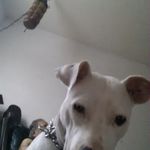 Sonya Perkins - @sonya.perkins.355 - Instagram