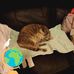 Sonya Plummer - Facebook