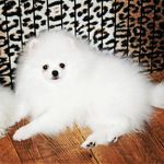 SONYA_POST - @sonya_post3 - Instagram