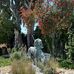 Sonya Raven Spellerberg - Facebook