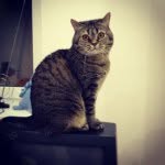 Соня Рочева - @sonya_rocheva - Instagram