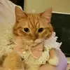 sonyarubina - @sonyarubina - TikTok
