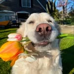 Sonya Sanders - @sonyasandersnyd37137 - Instagram