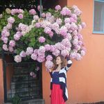 Юлия - @sonya_snow - Instagram