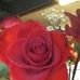 Sonya Storey - Facebook