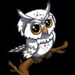 Sonya Sullivan - @sonya.sullivan.77 - Instagram