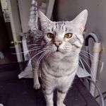 Sonya Tracy Gilmore - @sonya.gilmore.54 - Instagram