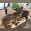 SonyaTravisWright282 - @sjtravis - TikTok
