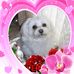 Sonya Turner - Facebook