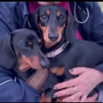 Sonya & Tyson - @tyson_otto_bjorn_yunitaym_astr - Instagram