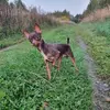 tyson_sonya - @tyson_sonya - TikTok