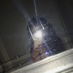 Sonya - @sonyavillarreal.2 - Instagram