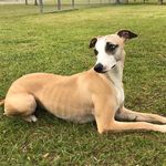 Sonya Rayburn Wakefield - @s_wakefield5 - Instagram