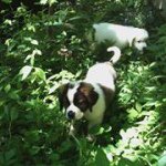 Sonya Walden - @35sonya - Instagram