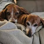 Sonya Waters - @sonya_waters73 - Instagram