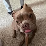 Sonya Waters Carrillo - @sonyanc1 - Instagram