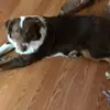 sonyaweathersbyst - @sonya.weathersby - TikTok