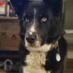Sonya Heath Wheeler - @swheeler1969 - Instagram