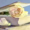 sonyawhitley - @sonyawhitley - TikTok