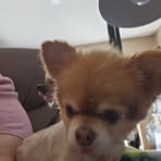 Sonya Willey - Facebook