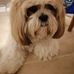 Sonya Wilkinson - Facebook