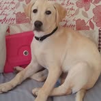 Sonya Wilkinson - Facebook