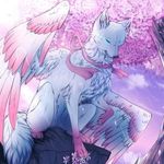 Соня Волк 2008 - @sonya_wolf_2008 - Instagram