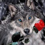 sonya wolf - @soniaogurets - Instagram