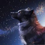 ŠØÑÝÅ Wøłf - @h.a_p.p_y___w.o_l.f - Instagram