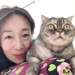 Sonya Wong - @sunnyswallow200474 - Instagram
