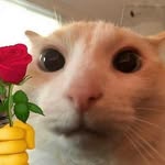@__soobak - Instagram