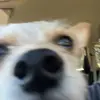 soobak - @s0obak - TikTok