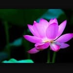 Soochew Liew - @liewsoochew - Instagram