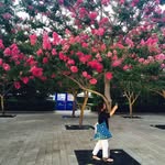 Sook Jung - @jungsook_life - Instagram