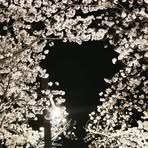 Soomi Kim - Facebook