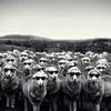 Soon Sin - @31207530977 - TikTok