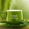 user797819164669 richardyeo - @yeosoon - TikTok