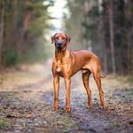 Sopheap Sam - @sopheap.sam.96 - Instagram