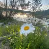 sophia_ackerman - @_2023ackerman_ - TikTok
