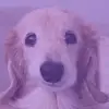 Sophia - @sophiabender55 - TikTok
