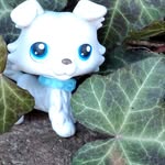 sophia bolton - @cute_sophie480 - Instagram