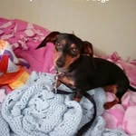 Sophie Bolton - @sophia.bolton048 - Instagram