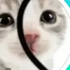 sophiacano - @sophiacano598 - TikTok