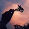 Sophia Hamm - @sophiahamm26 - TikTok