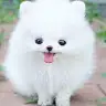 Sophia Ma - @sophia.ma5 - TikTok