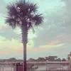 sophia🎱🍒🐆 - @sophia.marks40 - TikTok