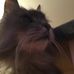 Sophia Mclean - Facebook
