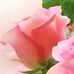 Sophia Mclean - Facebook