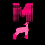 Sophia Mitchell - @mitchell_show_lambs - Instagram