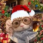 Sophia Mulles - Facebook